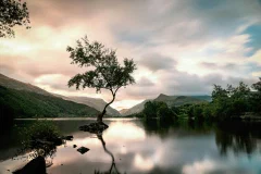Balance and harmony